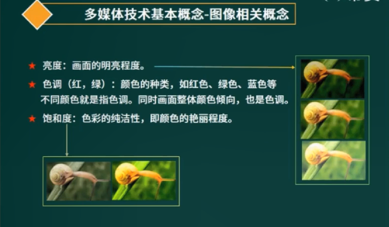image-20220519082805612